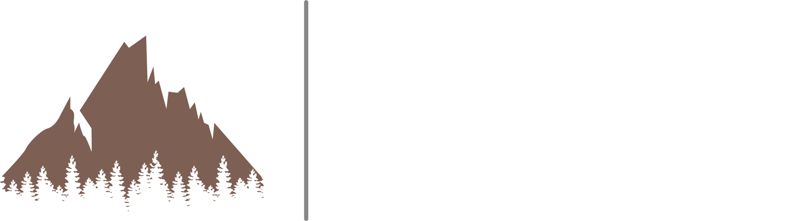 Hyperion Leadership Network - site logo white